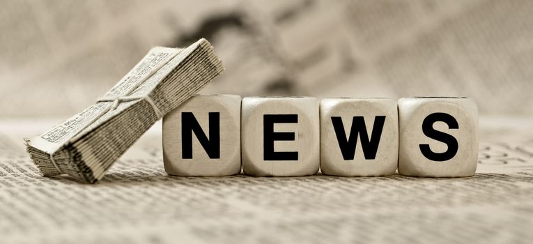 Fundación Tortuga siembra futuro en cada playa